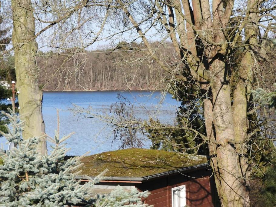Dachwohnung Mit Wasserblick Und Eigenem Bootssteg Берлин Экстерьер фото
